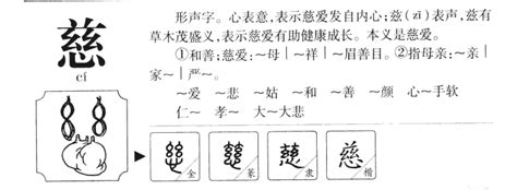 慈名字意思